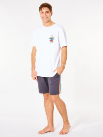Повседневные шорты Rip Curl SURF Revival Volley модель CWAOF9-8264 Фото