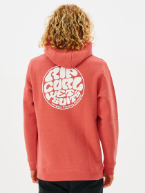 Худи Rip Curl модель CFEGM9-8543 Фото