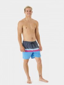 Шорты для плавания Rip Curl Surf Revival Volley модель 03AMBO-90 Чорний Фото