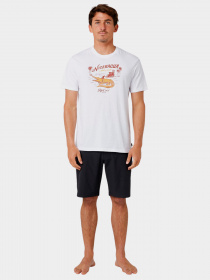 Футболка Rip Curl модель 04DMTE-3262 Білий Футболка Rip Curl модель 04DMTE-3262 Білий Фото