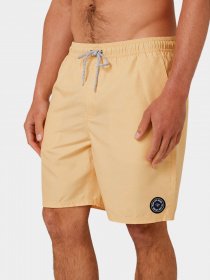 Шорты для плавания Rip Curl модель 04EMBO-9746 Жовтий Фото