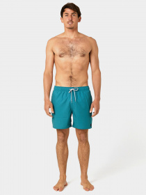 Шорты для плавания Rip Curl Daily Volley модель 04FMBO-8153 Зелений Фото