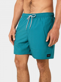 Шорты для плавания Rip Curl Daily Volley модель 04FMBO-8153 Зелений Фото