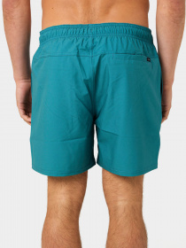 Шорты для плавания Rip Curl Daily Volley модель 04FMBO-8153 Зелений Фото