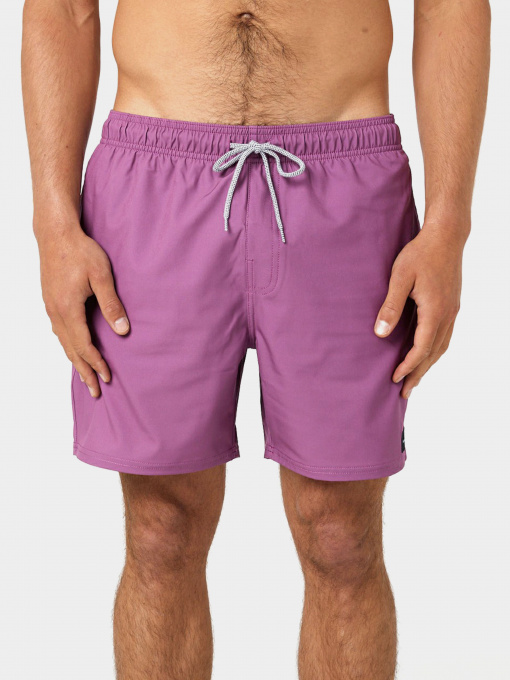 Шорты для плавания Rip Curl Daily Volley модель 04FMBO-9788 Фіолетовий Фото