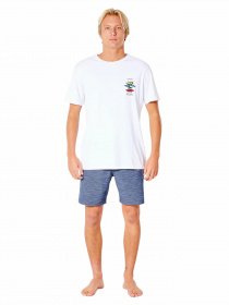 Шорты Rip Curl Boardwalk Jackson Volley модель CWARA9-49 Синій Фото