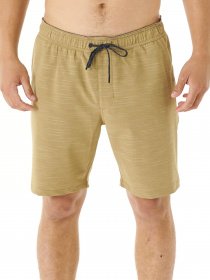 Шорты Rip Curl модель CWARA9-9660 Хакі Фото
