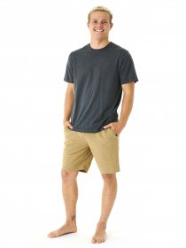 Шорты Rip Curl модель CWARA9-9660 Хакі Фото