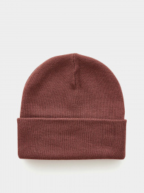 Шапка Rip Curl модель 00PWHE-9 Коричневий Фото