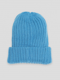 Шапка Reporter Young модель 233-0990G-08-400-1 Фото