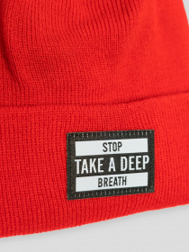 Шапка Reporter Young модель 233-0990B-10-650-1 Фото