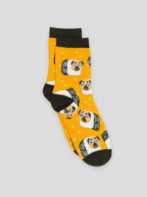 Набір шкарпеток Reporter Young модель 233-0995G-23-200-1 Фото