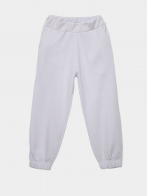 Штаны спортивные Reporter Young модель 221-0117G-04-670-1 Фото