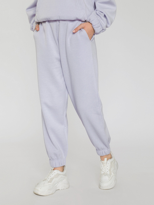 Штаны спортивные Reporter Young модель 221-0117G-04-670-1 Фото