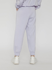 Штаны спортивные Reporter Young модель 221-0117G-04-670-1 Фото