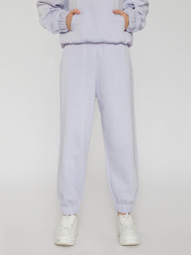 Штаны спортивные Reporter Young модель 221-0117G-04-670-1 Фото