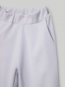 Штаны спортивные Reporter Young модель 221-0117G-04-670-1 Фото