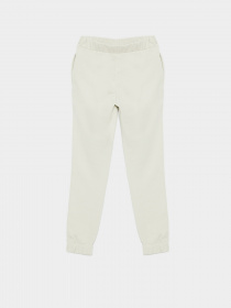 Штаны спортивные Reporter Young модель 221-0117G-12-120-1 Фото