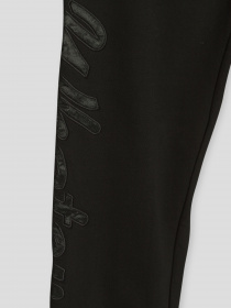 Штаны спортивные Reporter Young модель 223-0117B-19-100-1 Фото