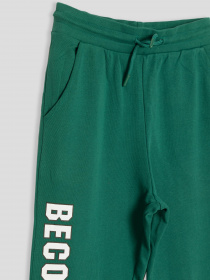 Штаны спортивные Reporter Young модель 223-0117B-20-560-1 Фото