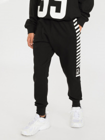 Штаны спортивные Reporter Young модель 223-0117B-24-100-1 Фото