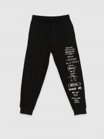 Штаны спортивные Reporter Young модель 223-0117B-31-100-1 Фото