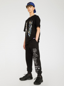 Штаны спортивные Reporter Young модель 223-0117B-31-100-1 Фото