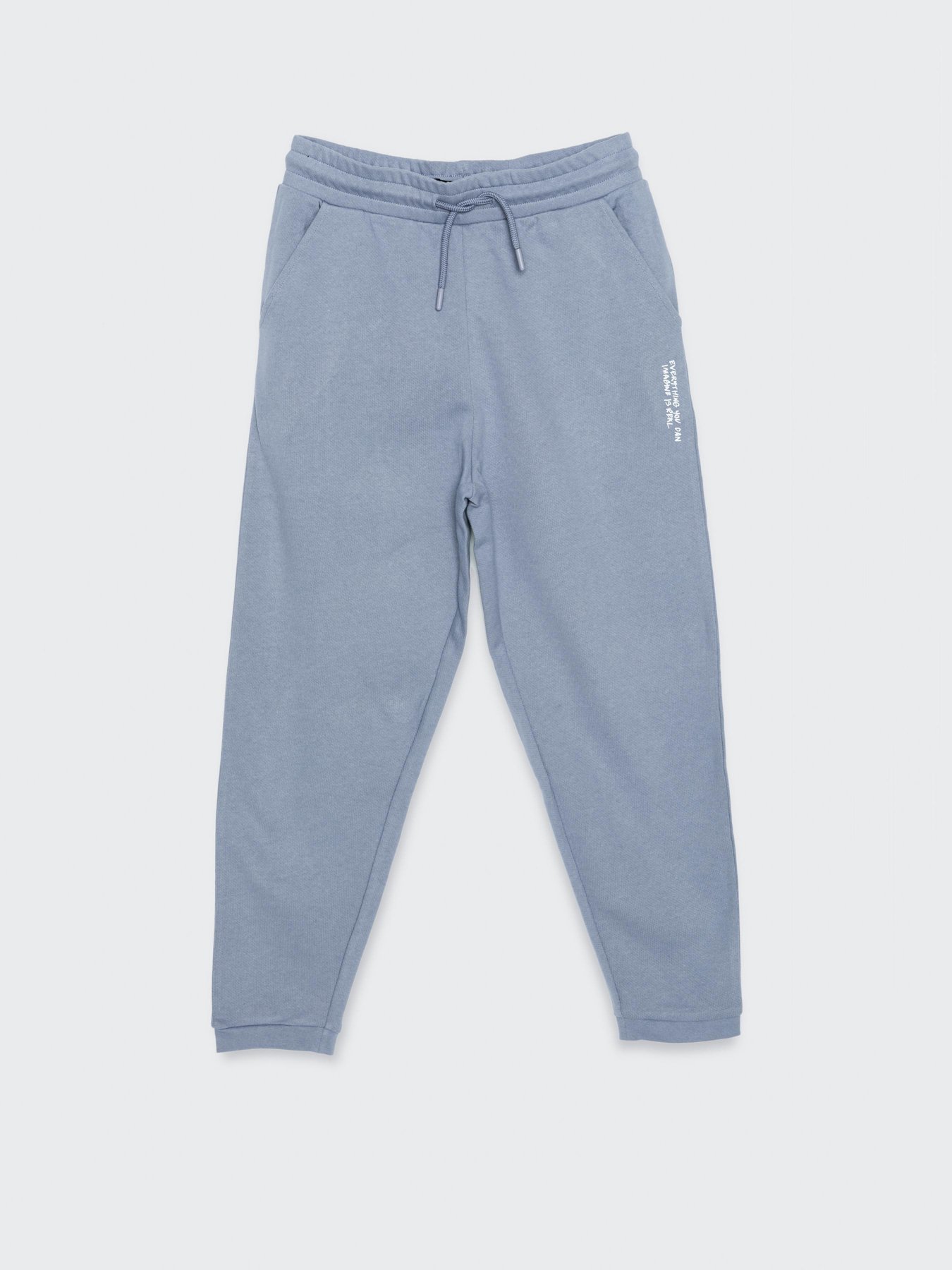 Штаны спортивные Reporter Young модель 223-0117B-44-429-1 Фото