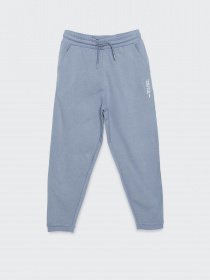 Штаны спортивные Reporter Young модель 223-0117B-44-429-1 Фото