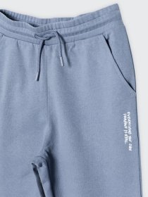 Штаны спортивные Reporter Young модель 223-0117B-44-429-1 Фото