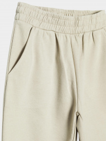 Штаны спортивные Reporter Young модель 223-0117G-18-230-1 Фото