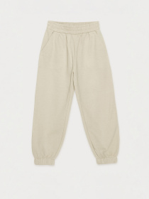 Спортивні штани Reporter Young модель 223-0117G-18-230-1 Фото