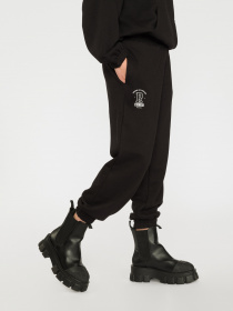 Штаны спортивные Reporter Young модель 223-0117G-31-100-1 Фото