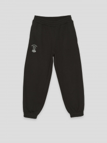 Штаны спортивные Reporter Young модель 223-0117G-31-100-1 Фото