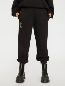 Штаны спортивные Reporter Young модель 223-0117G-31-100-1 Фото