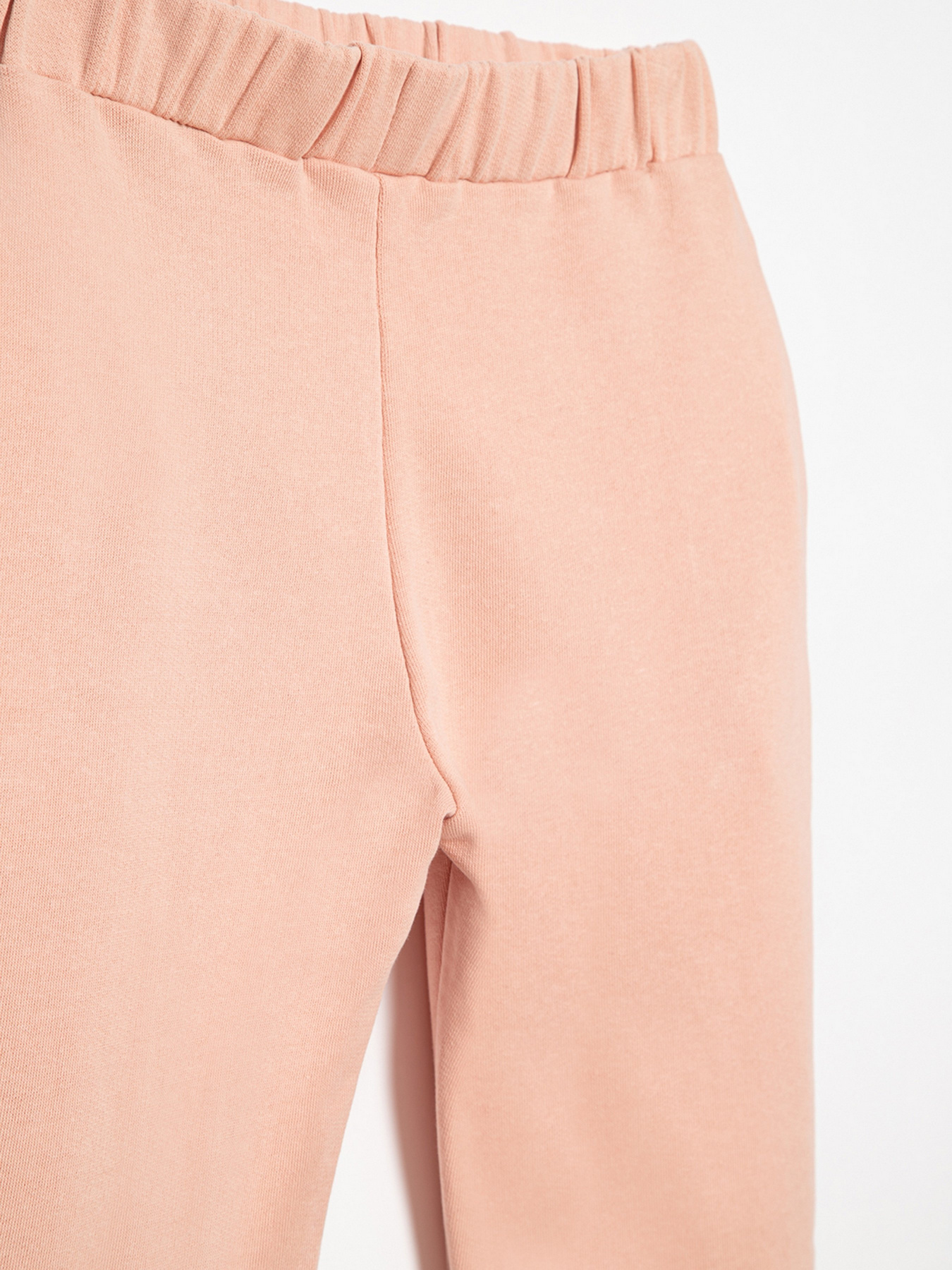 Штаны спортивные Reporter Young модель 221-0117G-12-640-1 Фото