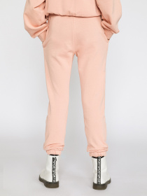 Штаны спортивные Reporter Young модель 221-0117G-12-640-1 Фото