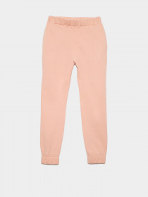 Штаны спортивные Reporter Young модель 221-0117G-12-640-1 Фото