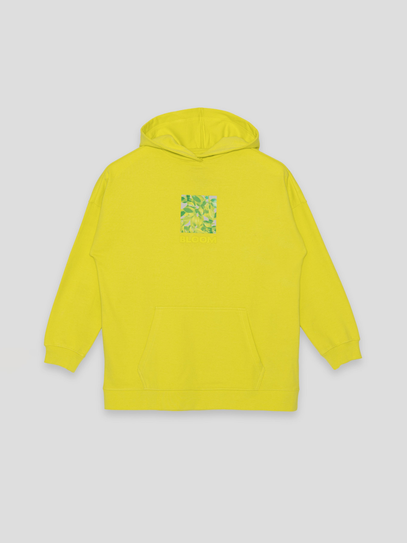 Худи Reporter Young модель 223-0551G-09-500-1 Фото