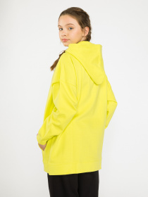 Худи Reporter Young модель 223-0551G-09-500-1 Фото