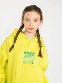 Худи Reporter Young модель 223-0551G-09-500-1 Фото