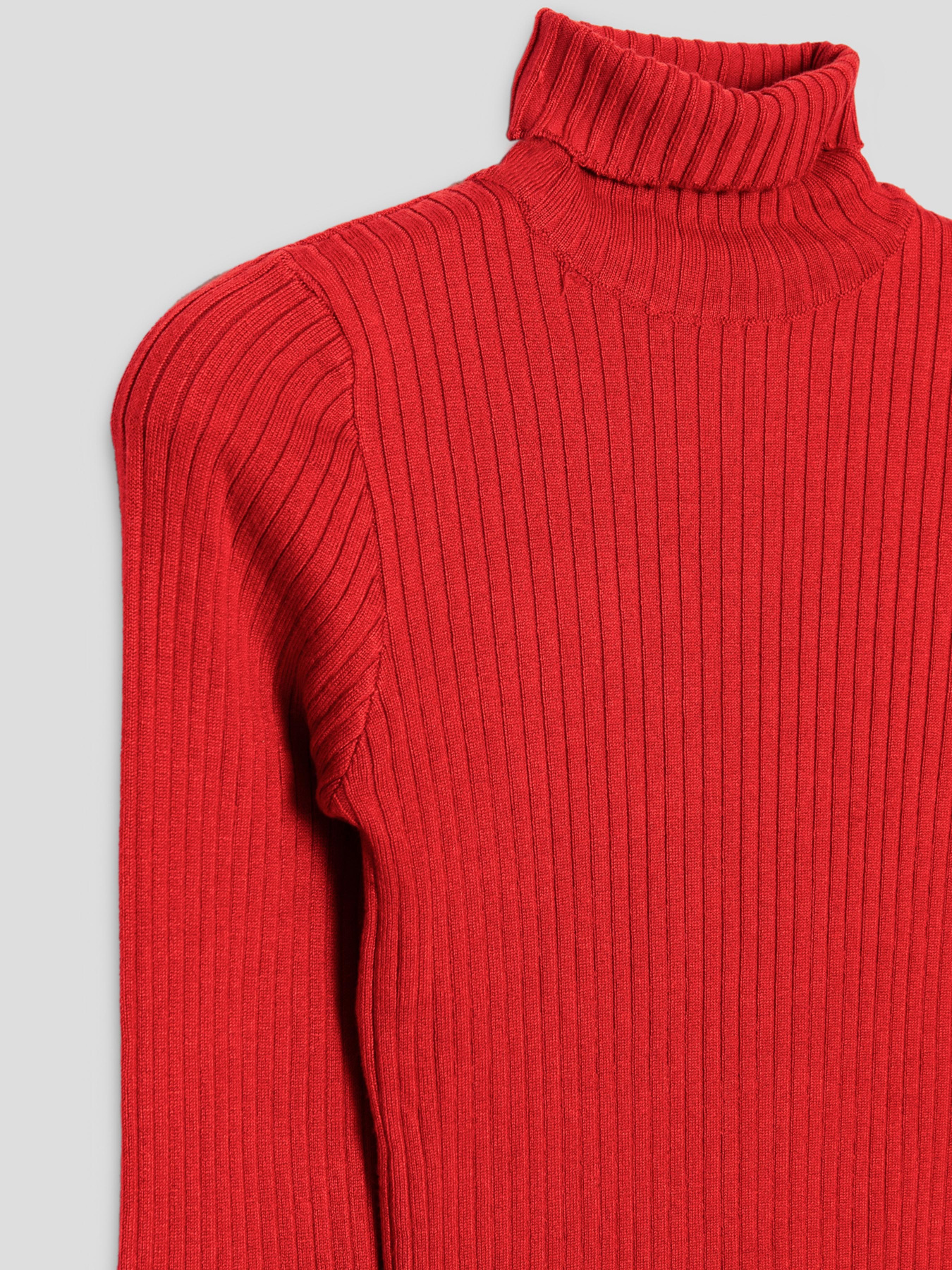 Водолазка Reporter Young модель 223-0770G-03-680-1 Фото