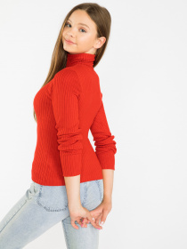 Водолазка Reporter Young модель 223-0770G-03-680-1 Фото