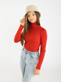 Водолазка Reporter Young модель 223-0770G-03-680-1 Фото