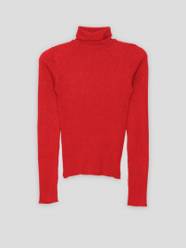 Водолазка Reporter Young модель 223-0770G-03-680-1 Фото