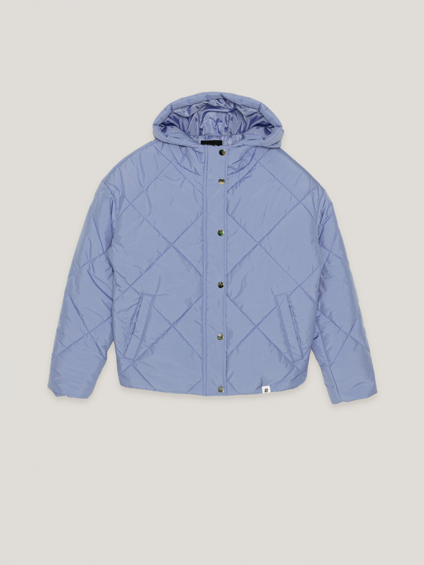 Демісезонна куртка Reporter Young модель 223-0882G-10-680-1 Фото