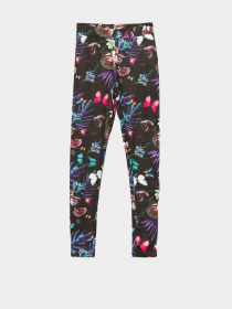 Легінси Reporter Young модель 221-0118G-15-100-1 Фото