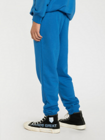 Джоггеры Reporter Young модель 223-0117B-43-479-1 Фото