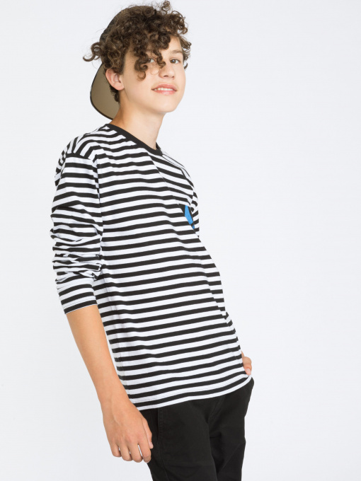 Лонгслив Reporter Young модель 223-0442B-50-100-1 Фото