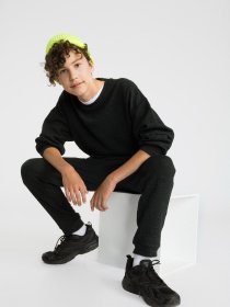 Свитшот Reporter Young модель 223-0550B-36-198-1 Фото